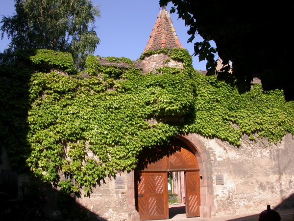 Un porche voûté sous la vigne vierge