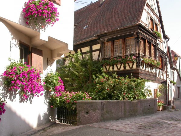Maisons à colombages et fenêtres fleuries