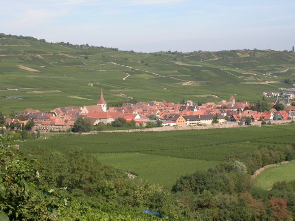 Le village posé au milieu du vignoble