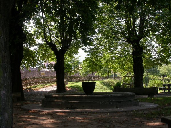 Les tilleuls et le puits d’une place ombragée